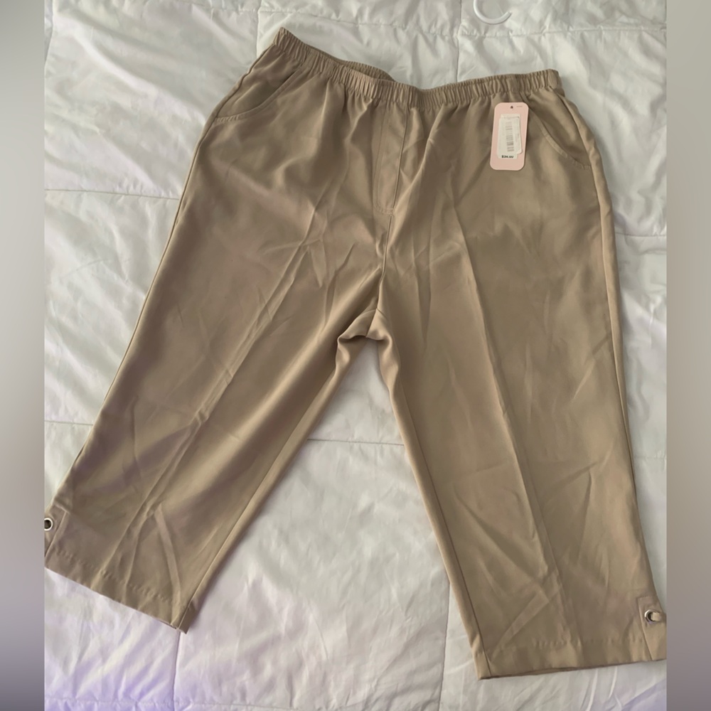 NWT Allison Daley Pants Size 14P Elastic Waisline